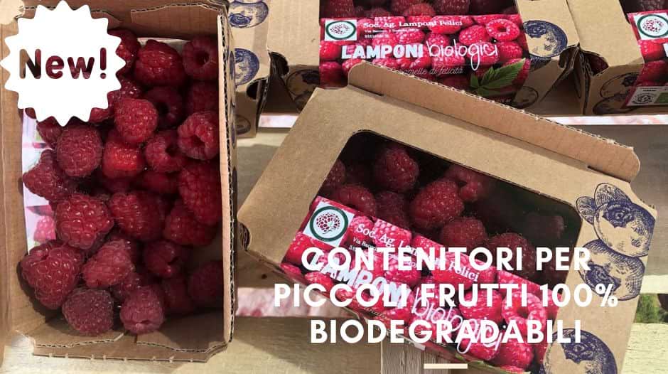 Contenitori per piccoli frutti